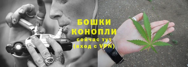 ГАЛЛЮЦИНОГЕННЫЕ ГРИБЫ Горнозаводск